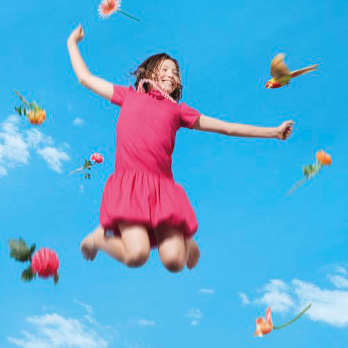 bird 完全初回限定盤  [CD + DVD]